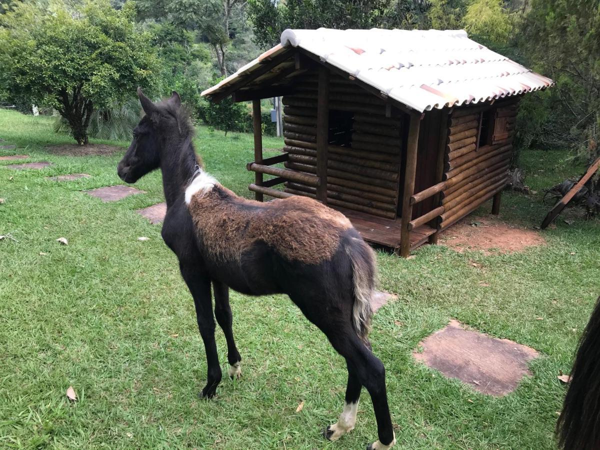 Chales De Minas Hotel Fazenda Caxambu Exteriör bild